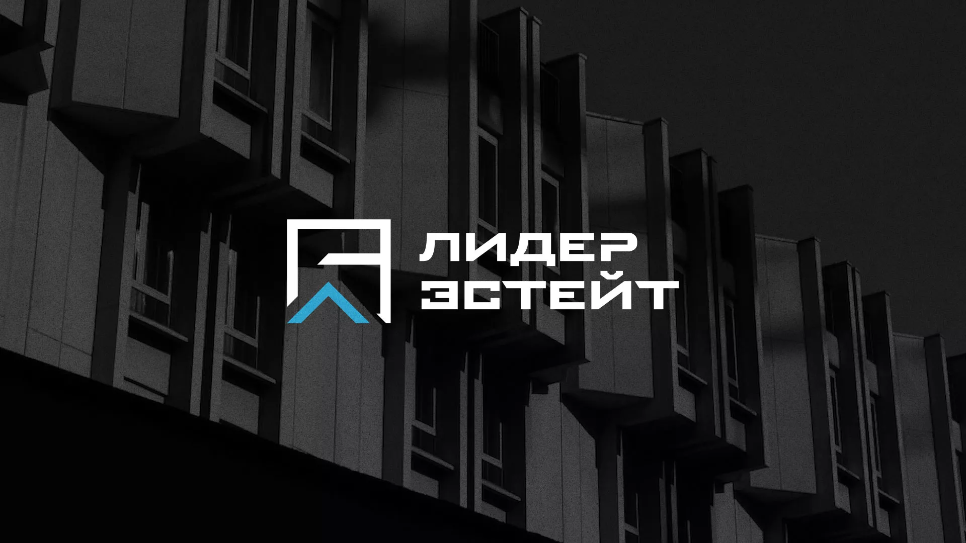 Разработка логотипа агентства недвижимости «Лидер Эстейт» в Кусе